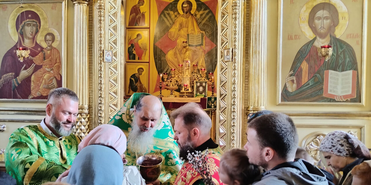 Бог создал Церковь ради этого чуда…