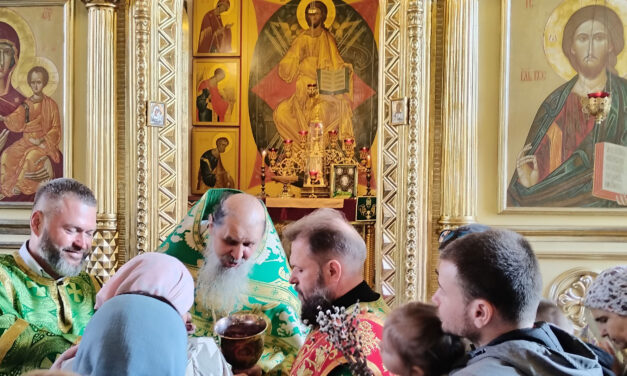 Бог создал Церковь ради этого чуда…